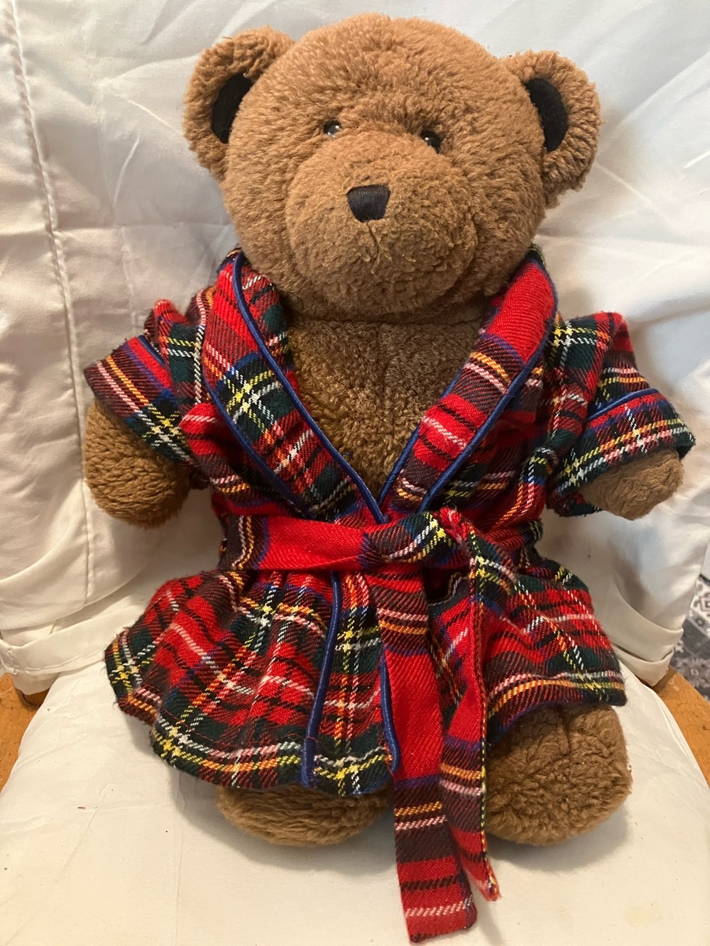 Build a Bear.  “Bear Boxer “ 14” all dressed with boxer shorts n robe.